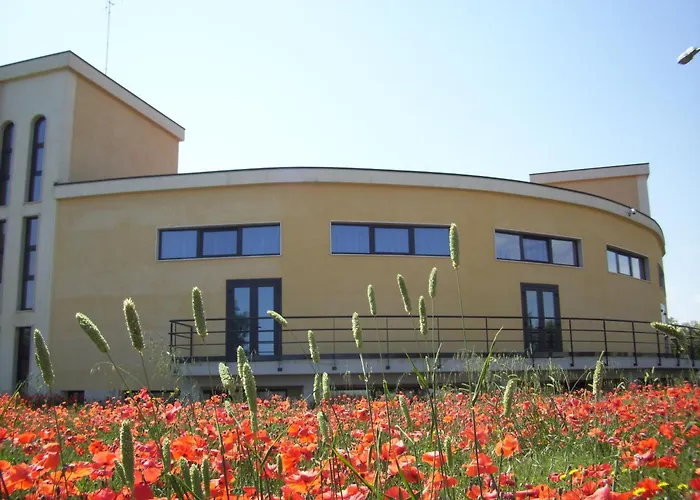 Casa Di Ospitalita Religiosa San Francesco D'assisi - Ba מלון